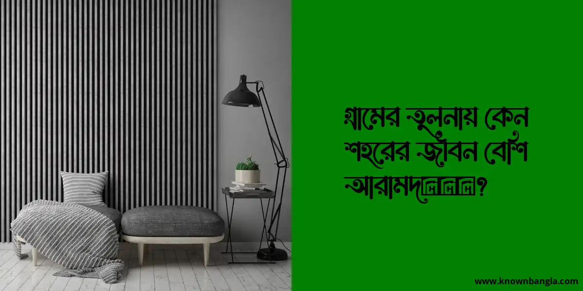 গ্রামের তুলনায় কেন শহরের জীবন বেশি আরামদायक?