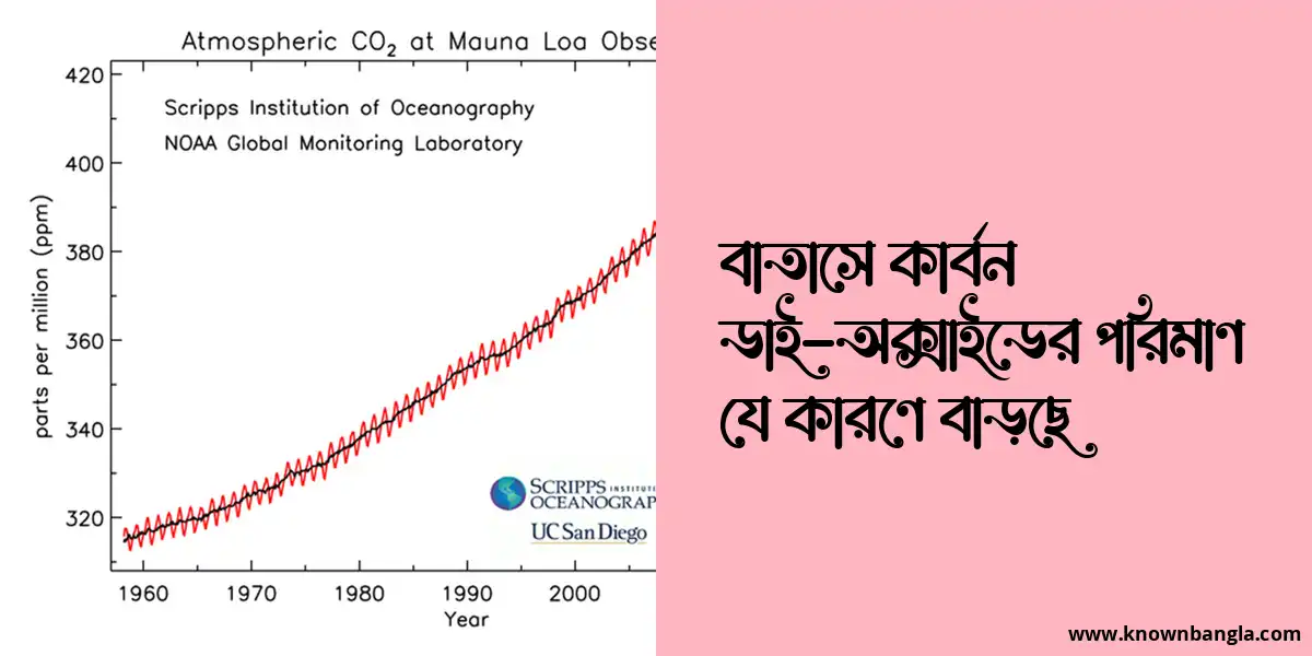 বাতাসে কার্বন ডাই-অক্সাইডের পরিমাণ যে কারণে বাড়ছে