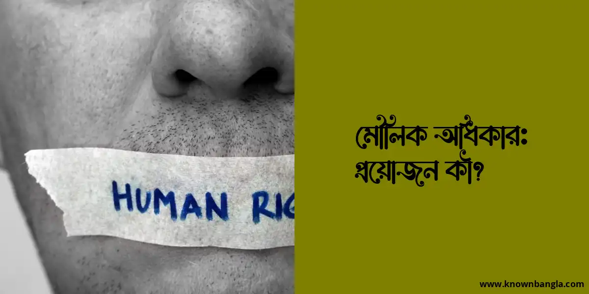 মৌলিক অধিকার: প্রয়োজন কী?