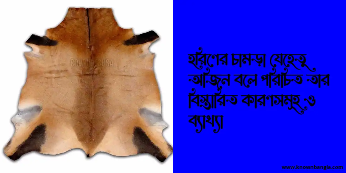 হরিণের চামড়া যেহেতু অজিন বলে পরিচিত তার বিস্তারিত কারণসমূহ ও ব্যাখ্যা