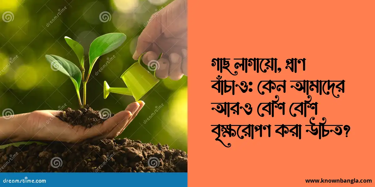 গাছ লাগায়ো, প্রাণ বাঁচাও: কেন আমাদের আরও বেশি বেশি বৃক্ষরোপণ করা উচিত?