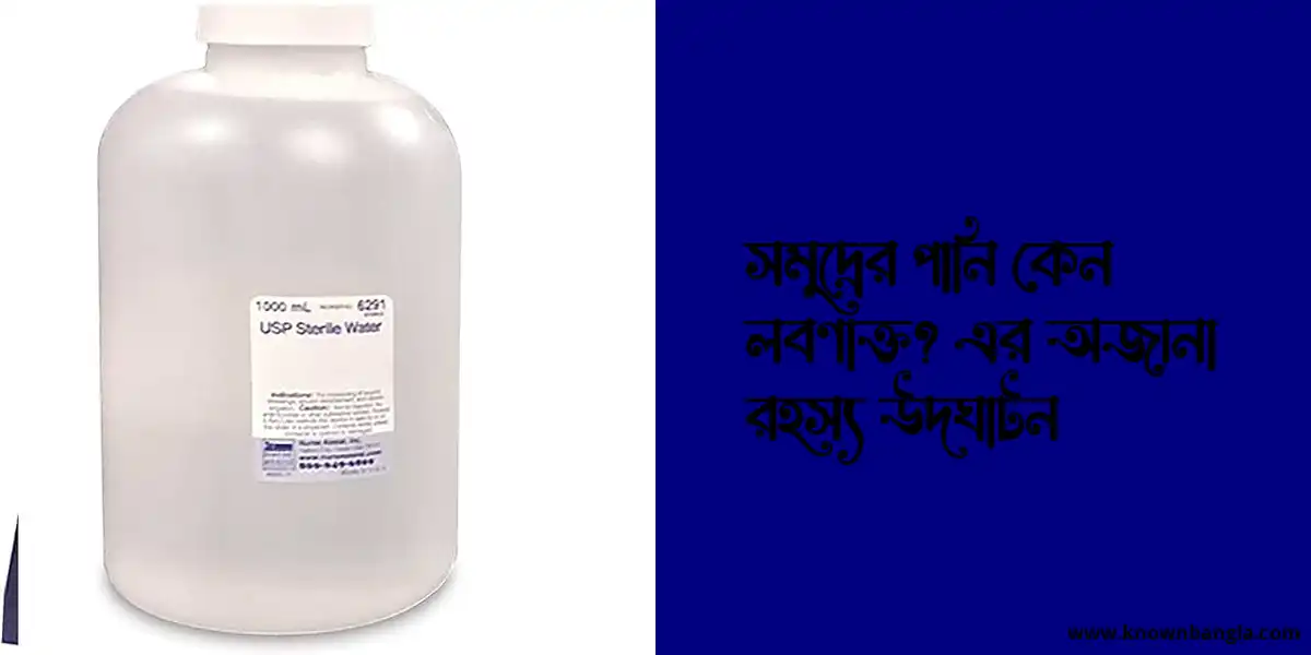 সমুদ্রের পানি কেন লবণাক্ত? এর অজানা রহস্য উদঘাটন