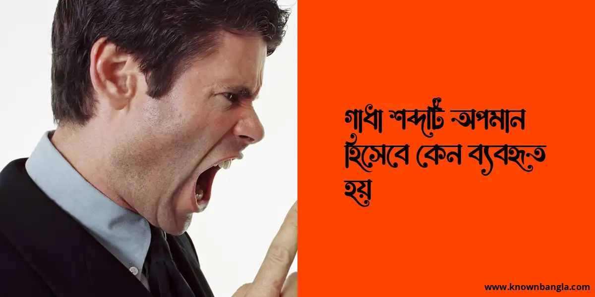 গাধা শব্দটি অপমান হিসেবে কেন ব্যবহৃত হয়