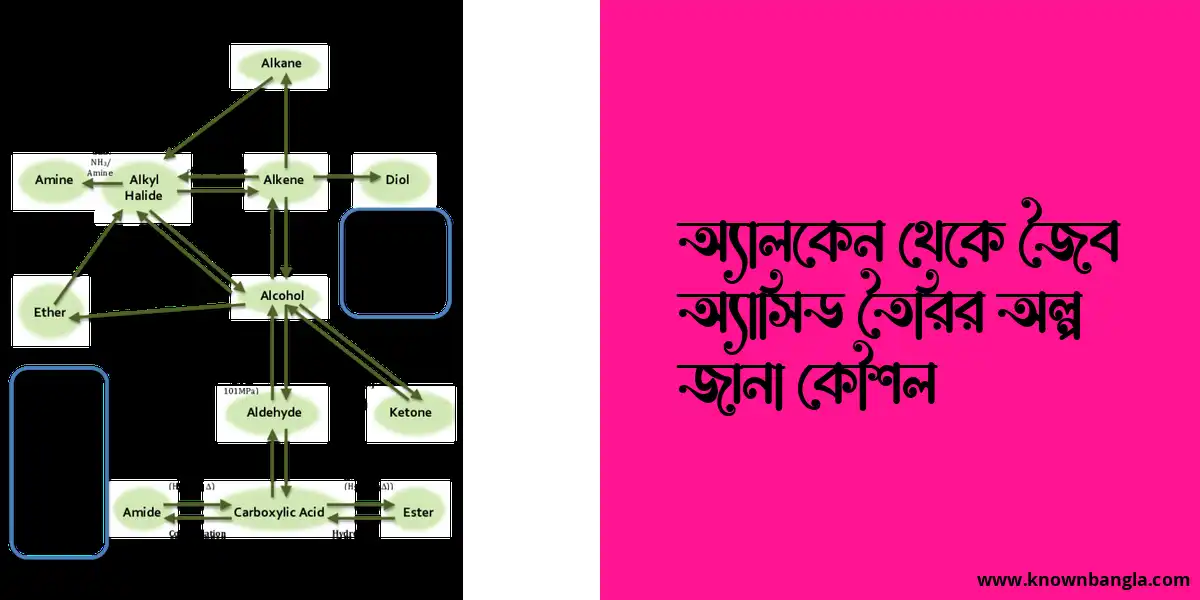 অ্যালকেন থেকে জৈব অ্যাসিড তৈরির অল্প জানা কৌশল