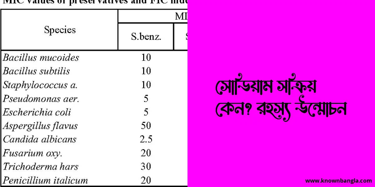 সোডিয়াম সক্রিয় কেন? রহস্য উন্মোচন