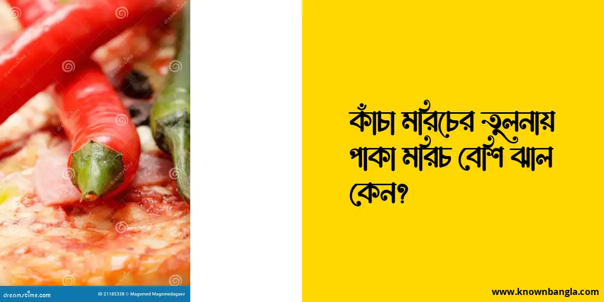 কাঁচা মরিচের তুলনায় পাকা মরিচ বেশি ঝাল কেন?