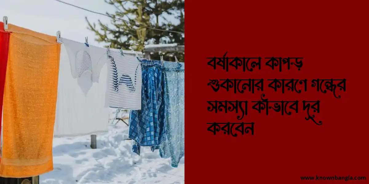 বর্ষাকালে কাপড় শুকানোর কারণে গন্ধের সমস্যা কীভাবে দূর করবেন