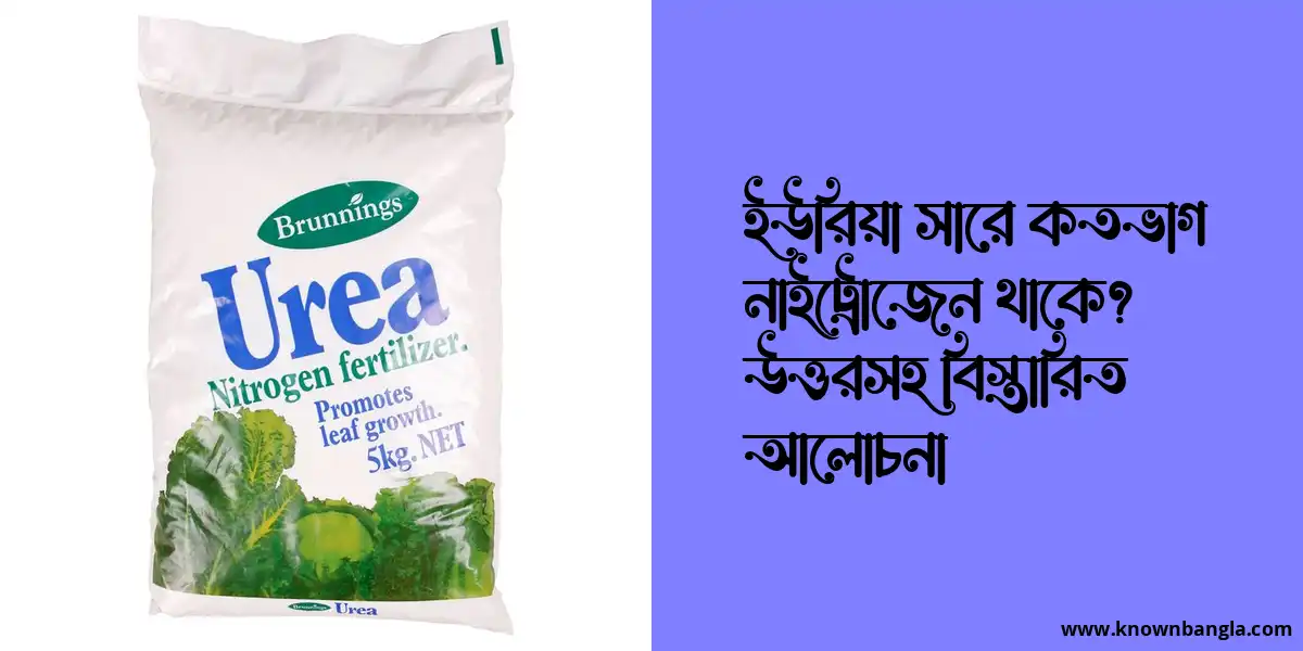 ইউরিয়া সারে কতভাগ নাইট্রোজেন থাকে? উত্তরসহ বিস্তারিত আলোচনা