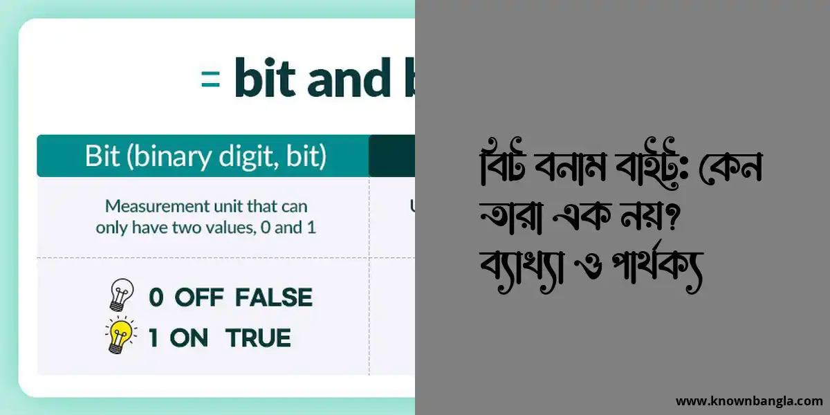 বিট বনাম বাইট: কেন তারা এক নয়? ব্যাখ্যা ও পার্থক্য