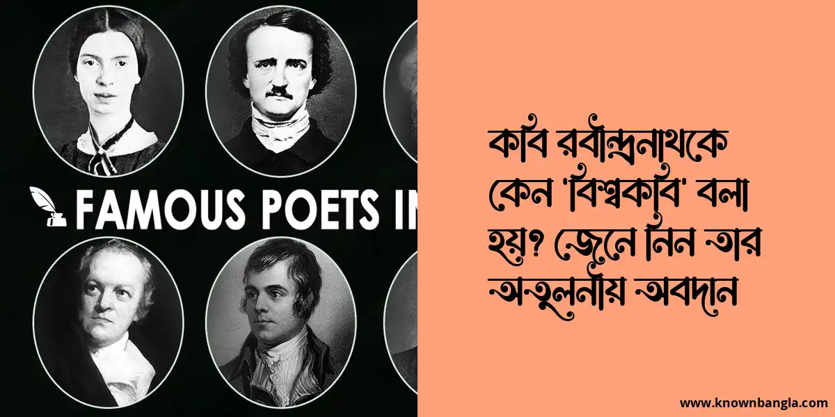 কবি রবীন্দ্রনাথকে কেন ‘বিশ্বকবি’ বলা হয়? জেনে নিন তার অবদান