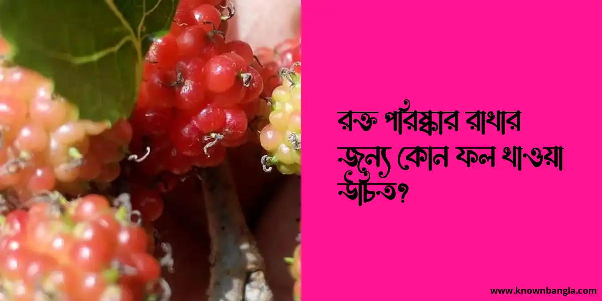 রক্ত পরিষ্কার রাখার জন্য কোন ফল খাওয়া উচিত?