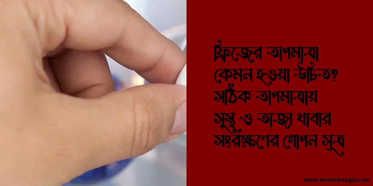 ফ্রিজের তাপমাত্রা কেমন হওয়া উচিত? সঠিক তাপমাত্রায় সুস্থ ও তাজা খাবার সংরক্ষণের গোপন সূত্র