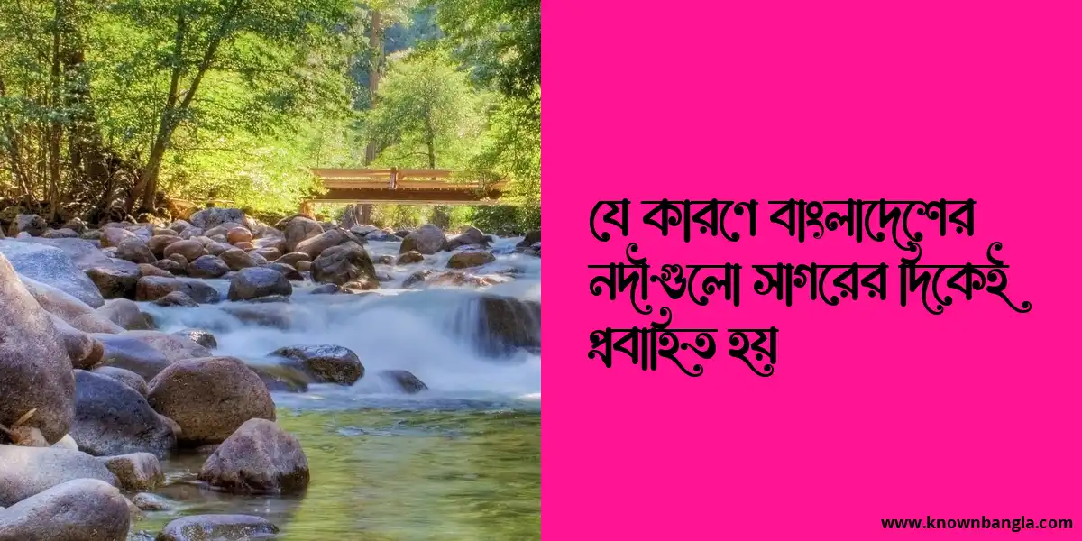 যে কারণে বাংলাদেশের নদী সাগরের দিকেই প্রবাহিত হয়