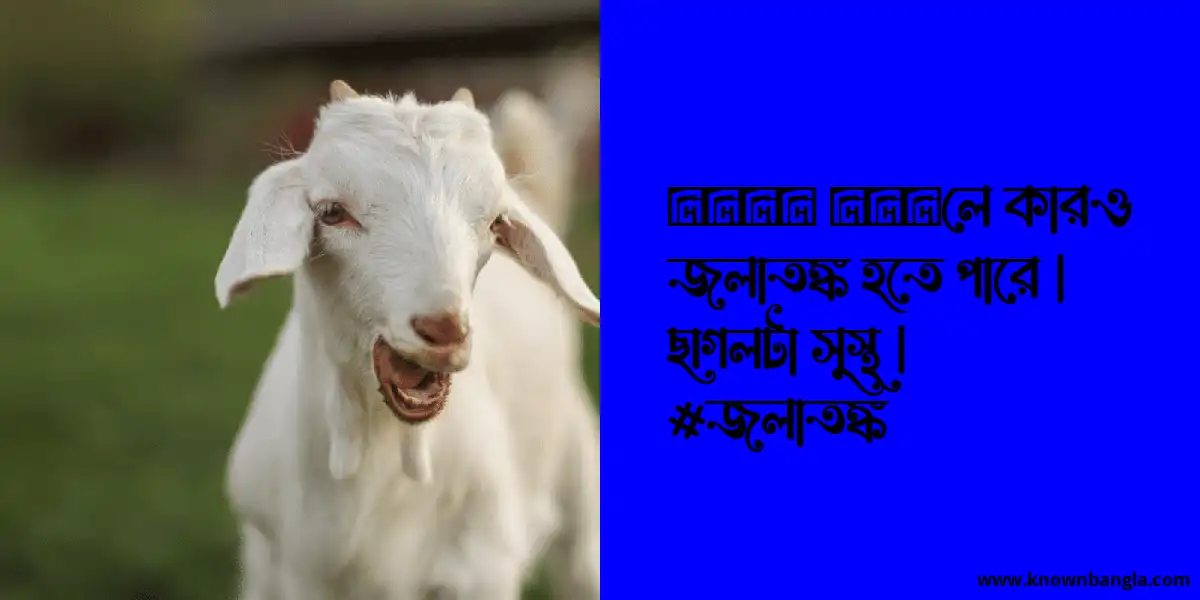 ছাগলের কামড়ে জলাতঙ্ক হতে পারে কিনা?