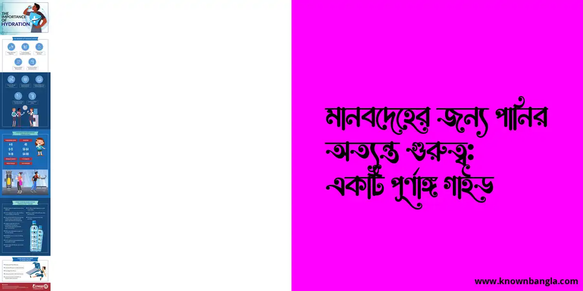 মানবদেহের জন্য পানির অত্যন্ত গুরুত্ব: একটি পূর্ণাঙ্গ গাইড