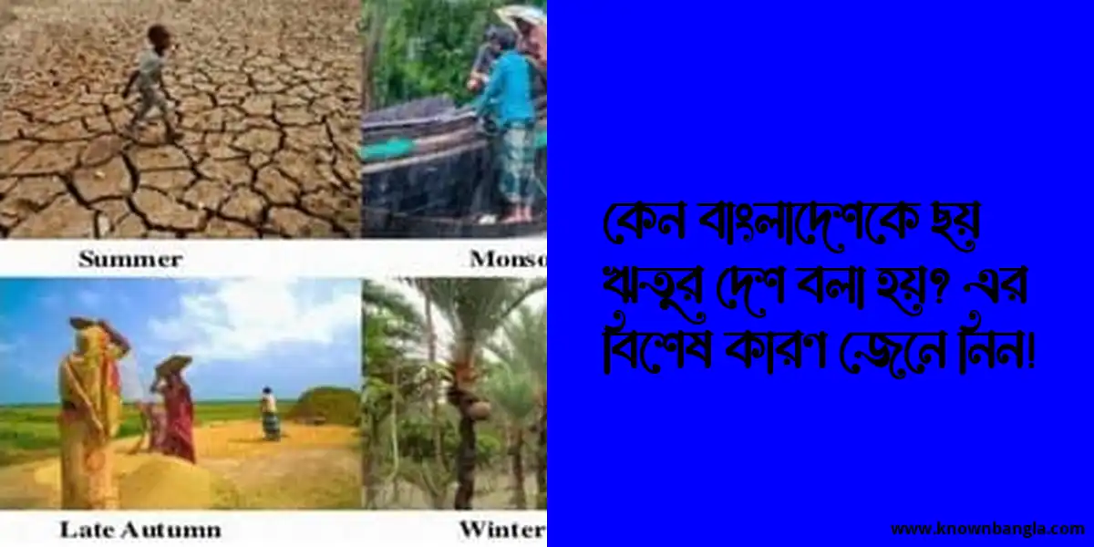 কেন বাংলাদেশকে ছয় ঋতুর দেশ বলা হয়? এর বিশেষ কারণ জেনে নিন!