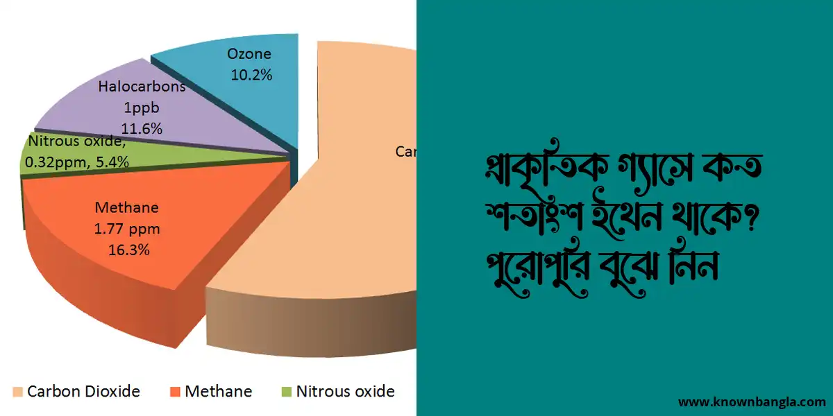 প্রাকৃতিক গ্যাসে কত শতাংশ ইথেন থাকে? পুরোপুরি বুঝে নিন