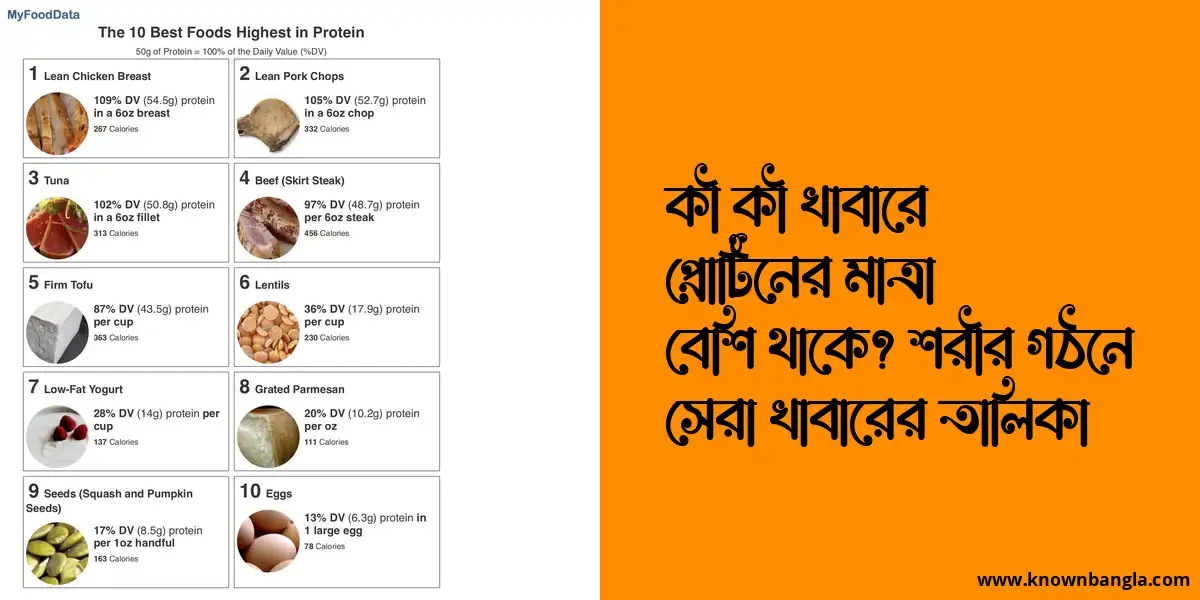 কোন খাবারে প্রোটিন বেশি থাকে? শরীর গঠনে সেরা খাবারের তালিকা