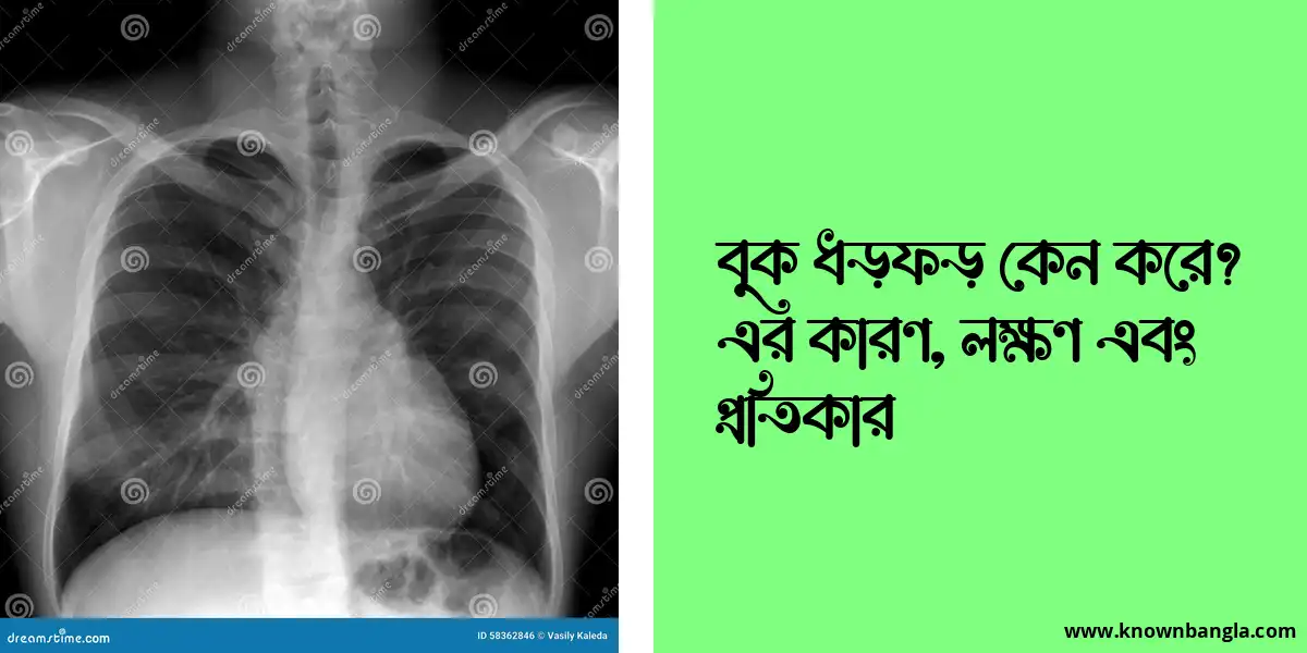 বুক ধড়ফড় কেন করে? এর কারণ, লক্ষণ এবং প্রতিকার