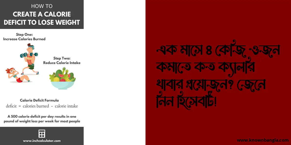 এক মাসে ৪ কেজি ওজন কমাতে কত ক্যালরি খাবার প্রয়োজন?