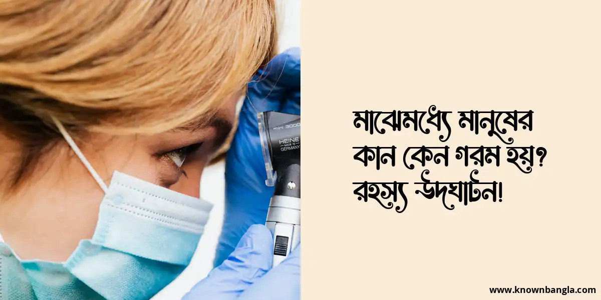 মাঝেমধ্যে মানুষের কান কেন গরম হয়? রহস্য উদঘাটন!