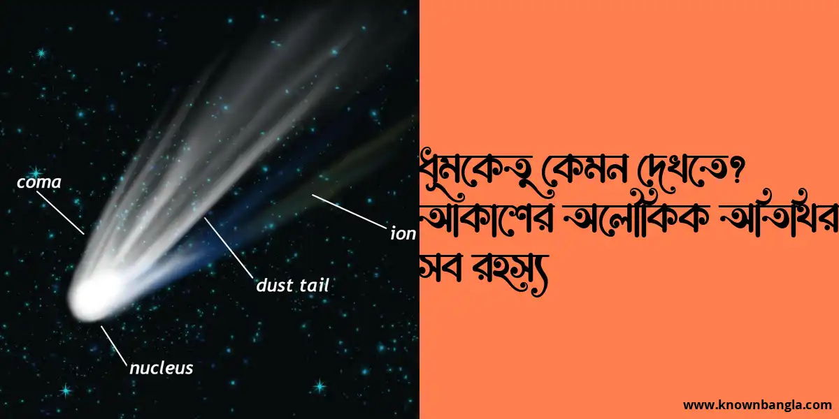 ধূমকেতু কেমন দেখতে? আকাশের অলৌকিক অতিথির সব রহস্য