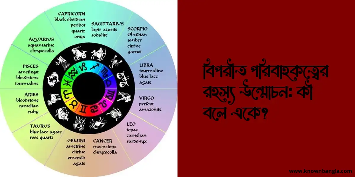 বিপরীত পরিবাহকত্বের রহস্য উন্মোচন: কী বলে একে?