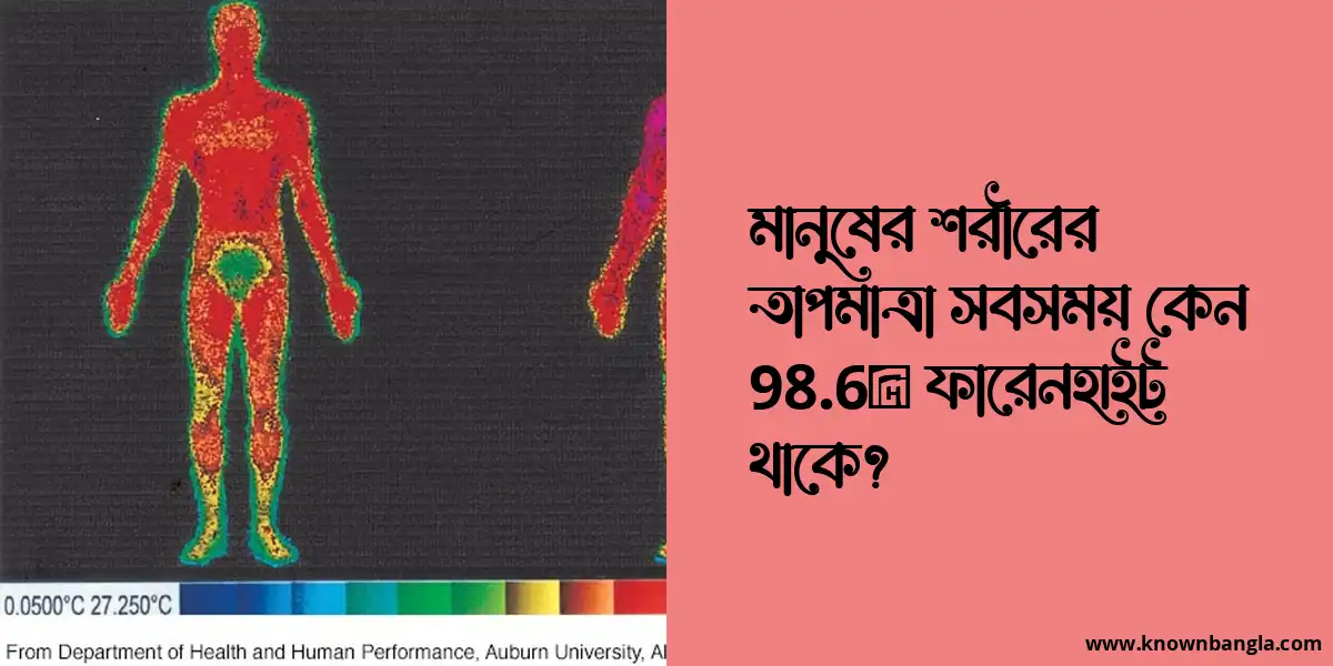 মানুষের শরীরের তাপমাত্রা সবসময় কেন 98.6° ফারেনহাইট থাকে?