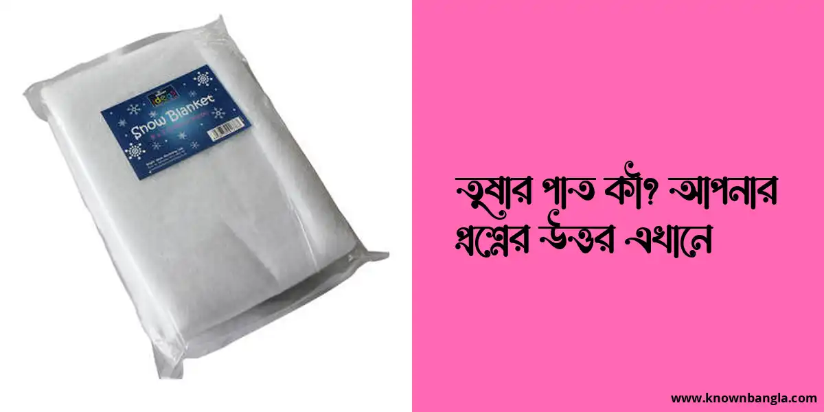 তুষার পাত কী? আপনার প্রশ্নের উত্তর এখানে