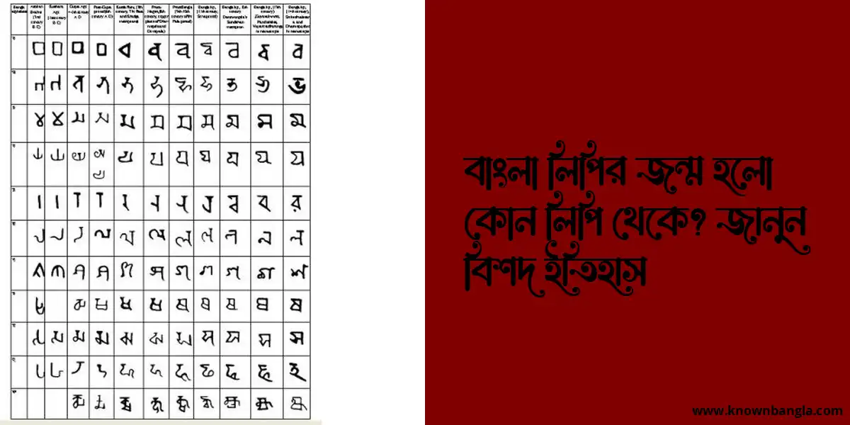 বাংলা লিপির জন্ম হলো কোন লিপি থেকে? জানুন বিশদ ইতিহাস