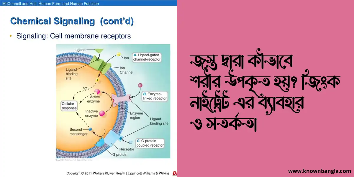 জস্ত দ্বারা কীভাবে শরীর উপকৃত হয়? জিংক নাইট্রেট এর ব্যাবহার ও সতর্কতা