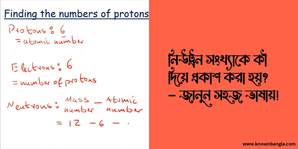 নিউট্রন সংখ্যাকে কী দিয়ে প্রকাশ করা হয়? – জানুন সহজ ভাষায়!