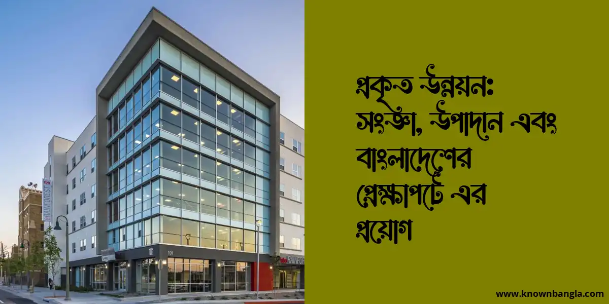 প্রকৃত উন্নয়ন: সংজ্ঞা, উপাদান এবং বাংলাদেশের প্রেক্ষাপটে এর প্রয়োগ