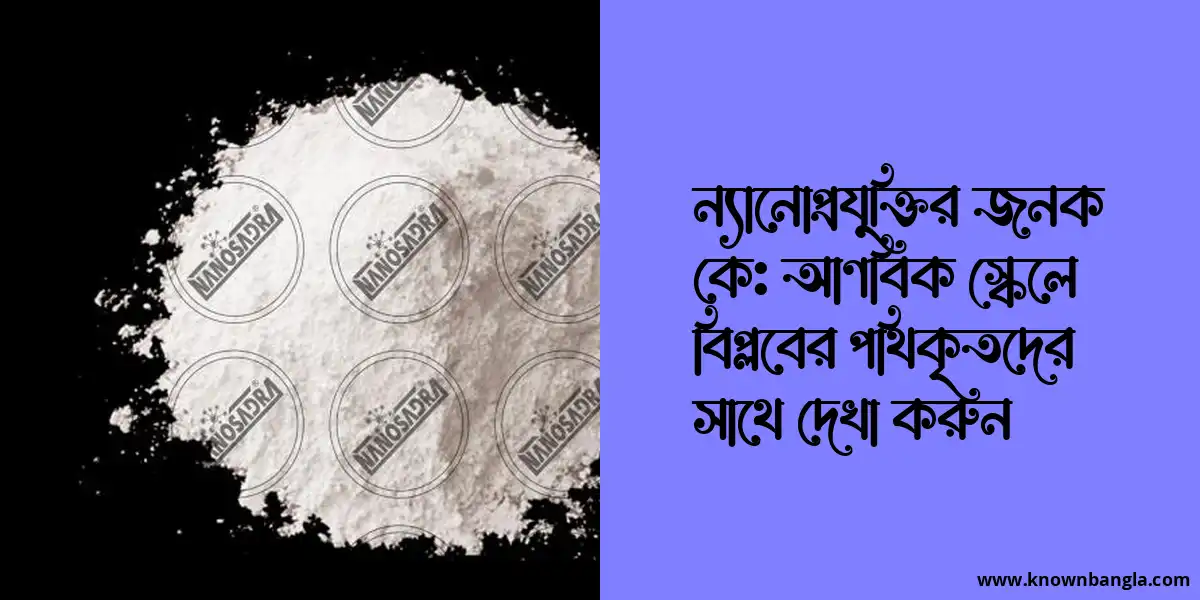 ন্যানোপ্রযুক্তির জনক কে: আণবিক স্কেলে বিপ্লবের পথিকৃতদের সাথে দেখা করুন