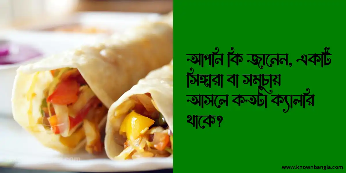 একটি সিঙ্গারা বা সমুচায় আসলে কতটা ক্যালরি থাকে?