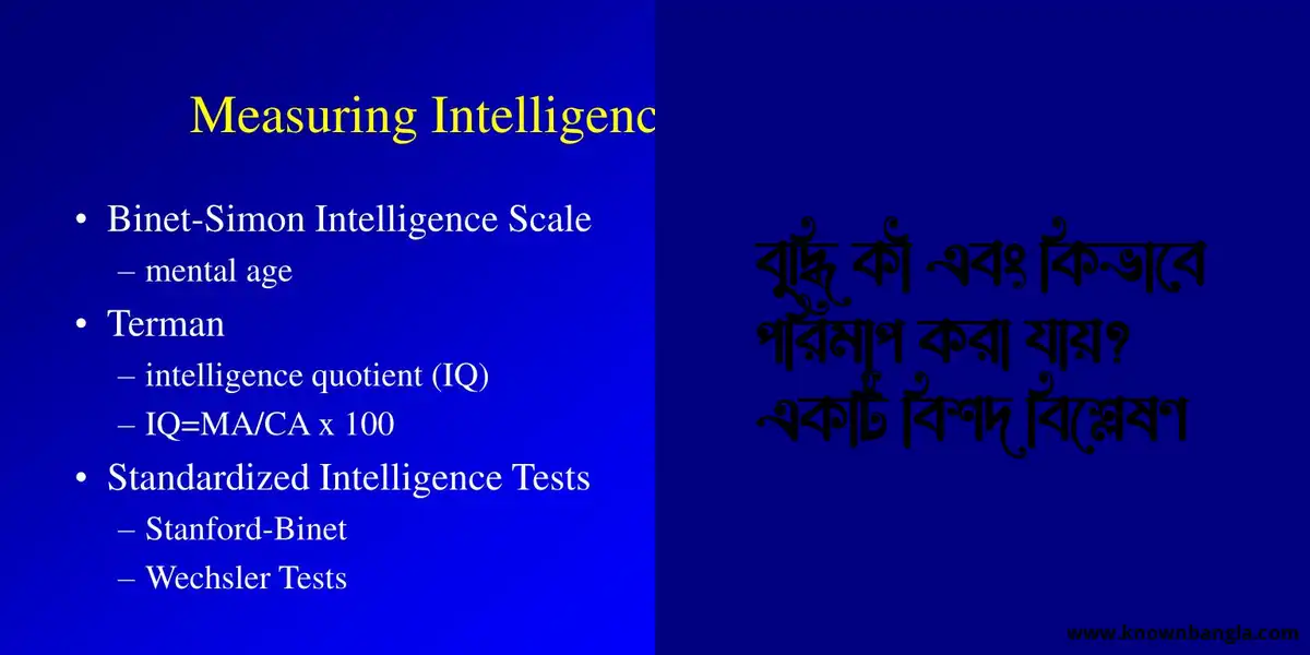 বুদ্ধি কী এবং কিভাবে পরিমাপ করা যায়? একটি বিশদ বিশ্লেষণ