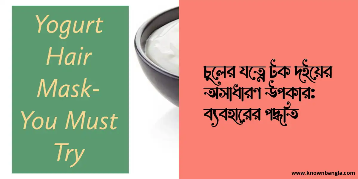 চুলের যত্নে টক দইয়ের অসাধারণ উপকার: ব্যবহারের পদ্ধতি