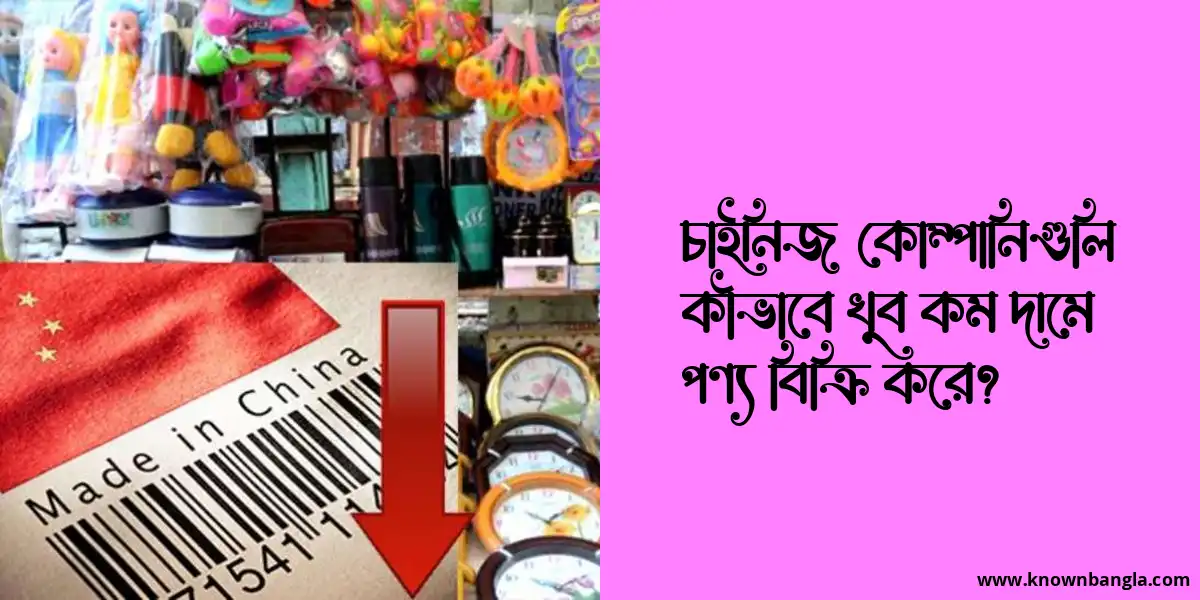 চাইনিজ কোম্পানিগুলি কীভাবে খুব কম দামে পণ্য বিক্রি করে?