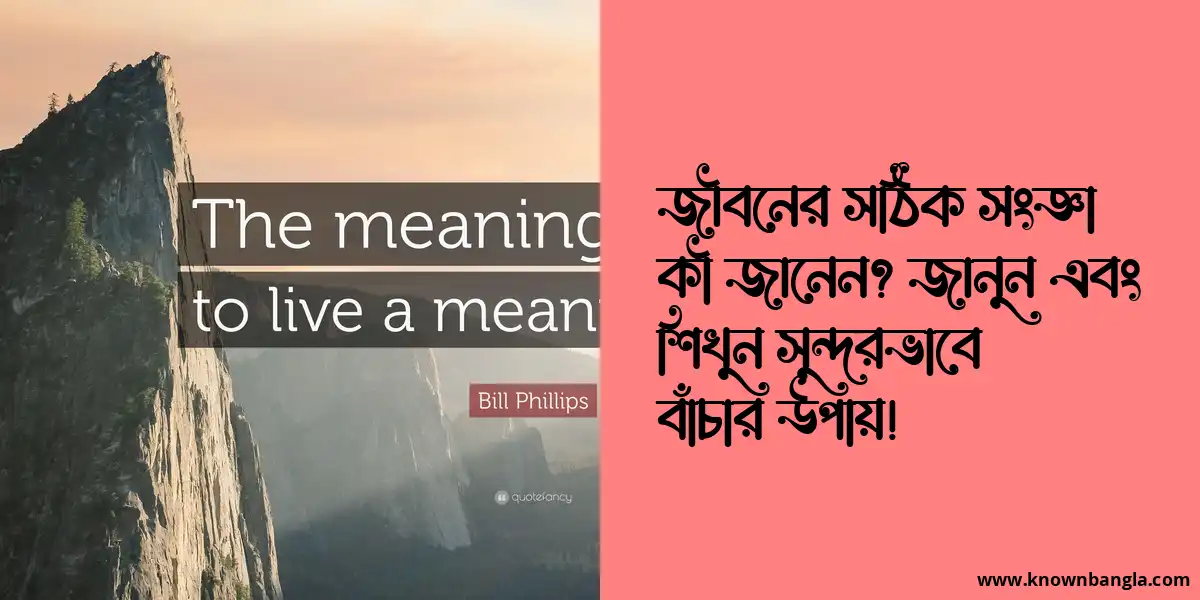 জীবনের সঠিক সংজ্ঞা কী? জানুন ও শিখুন সুন্দরভাবে বাঁচার উপায়!